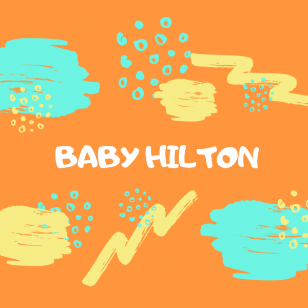 Логотип компании Baby Hilton