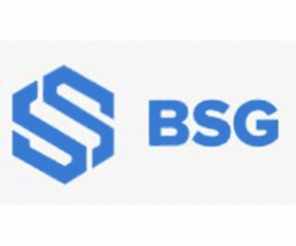 Логотип компании BS Group